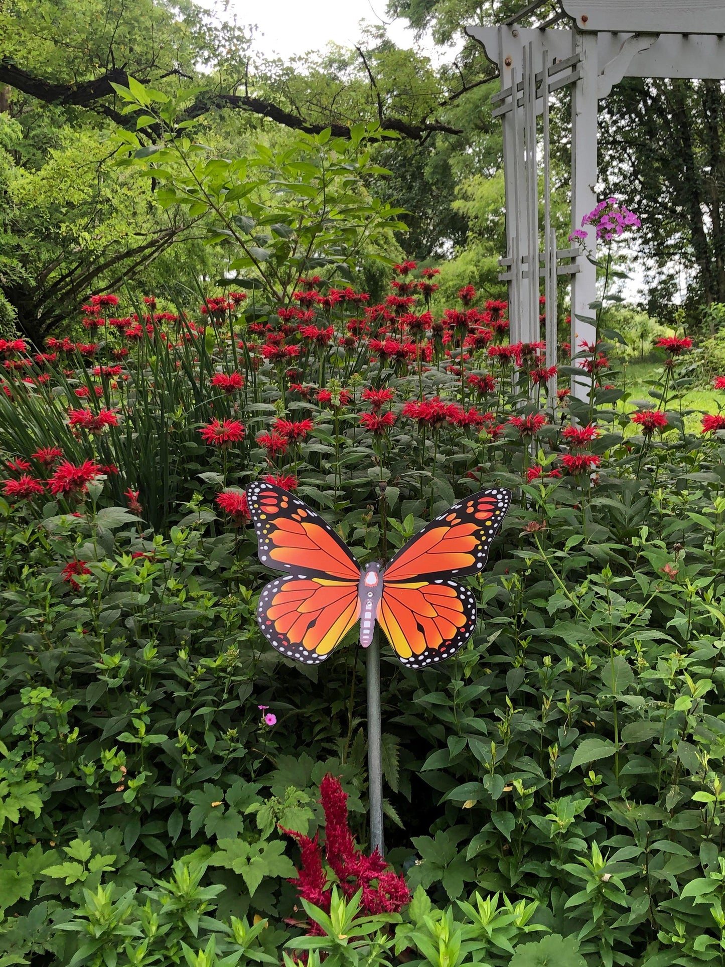 Butterfly Sticks -Large Butterfly Garden Art -Monarch, Blue Morpho and more. Aluminum Skin w/ Plastic Core - NEVER RUSTS - Lasts Years!