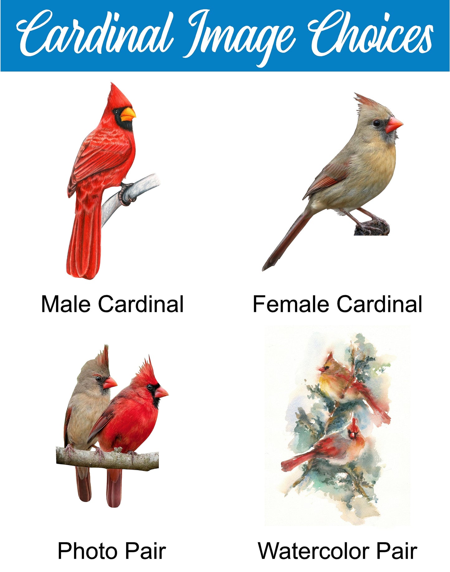 Cardinal Memorial Window Bird Feeder w/ Custom Year / Saying | Solid Building Grade PVC | Large Feed Hoppers | Lasts Years - View Through