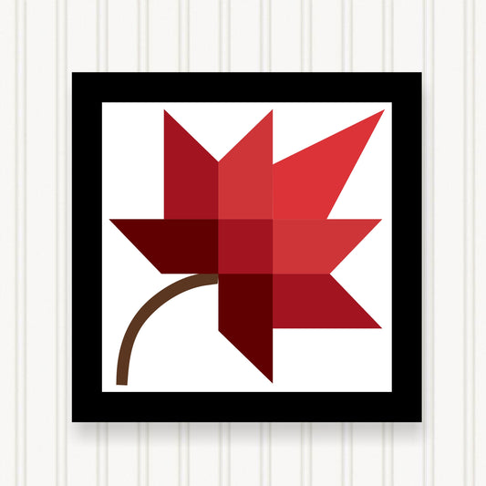 a picture of a red maple leaf hanging on a wall